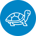 turtle_vet-tlt